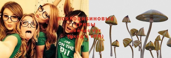 крисы Бородино