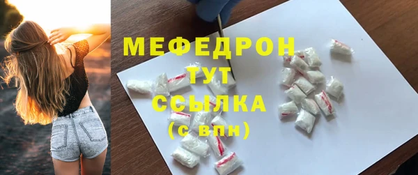 крисы Бородино
