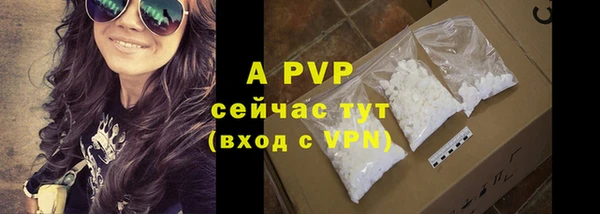 крисы Бородино