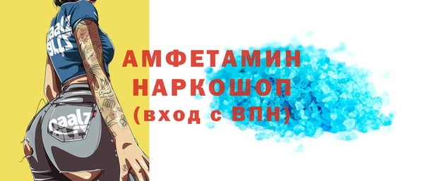 крисы Бородино
