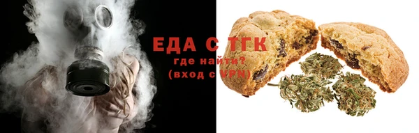 шишки Горно-Алтайск