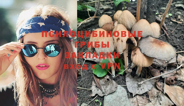 крисы Бородино