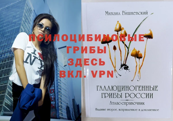 дмт Снежногорск