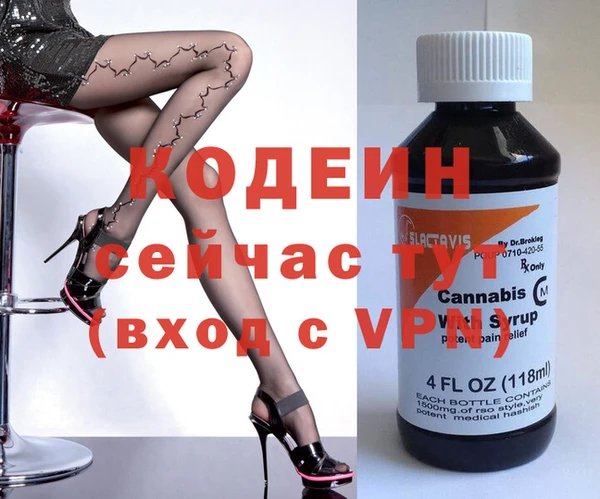 крисы Бородино