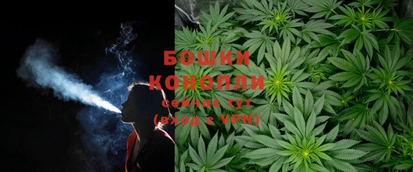 крисы Бородино
