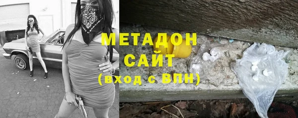 крисы Бородино