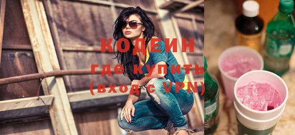 крисы Бородино